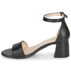 Chaussures Femme Sandales et Nu-pieds Wonders NATURE Noir -Sandales Soldes Boutique 16646160 500 D