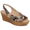 Chaussures Femme Sandales et Nu-pieds André DESTINEE Beige