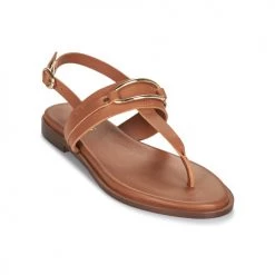 Chaussures Femme Sandales et Nu-pieds Minelli LIZA Marron