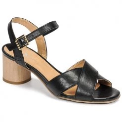 Chaussures Femme Sandales et Nu-pieds Dream in Green ODAINE Noir