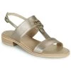 Chaussures Femme Sandales et Nu-pieds NeroGiardini PLUIE Doré