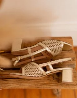 Chaussures Femme Sandales et Nu-pieds Céleste CANNELLE Doré -Sandales Soldes Boutique 19268276 500 C