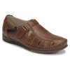 Chaussures Homme Sandales et Nu-pieds Fluchos CATAMARAN Marron