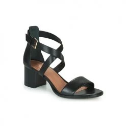 Chaussures Femme Sandales et Nu-pieds Minelli ARICIE Noir