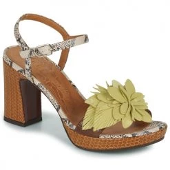Chaussures Femme Sandales et Nu-pieds Chie Mihara KIBALI Marron / Python
